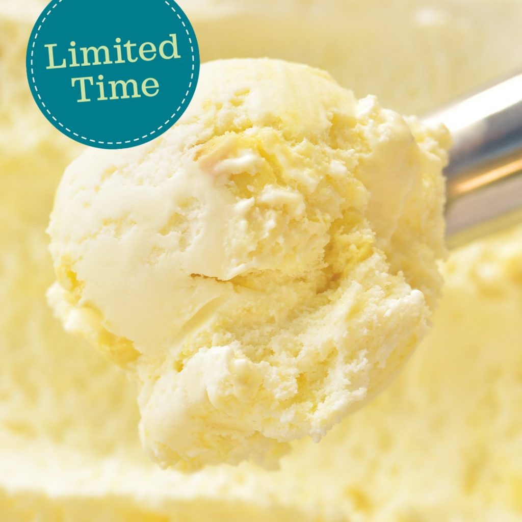 Best places deliver ice cream - ecreamery