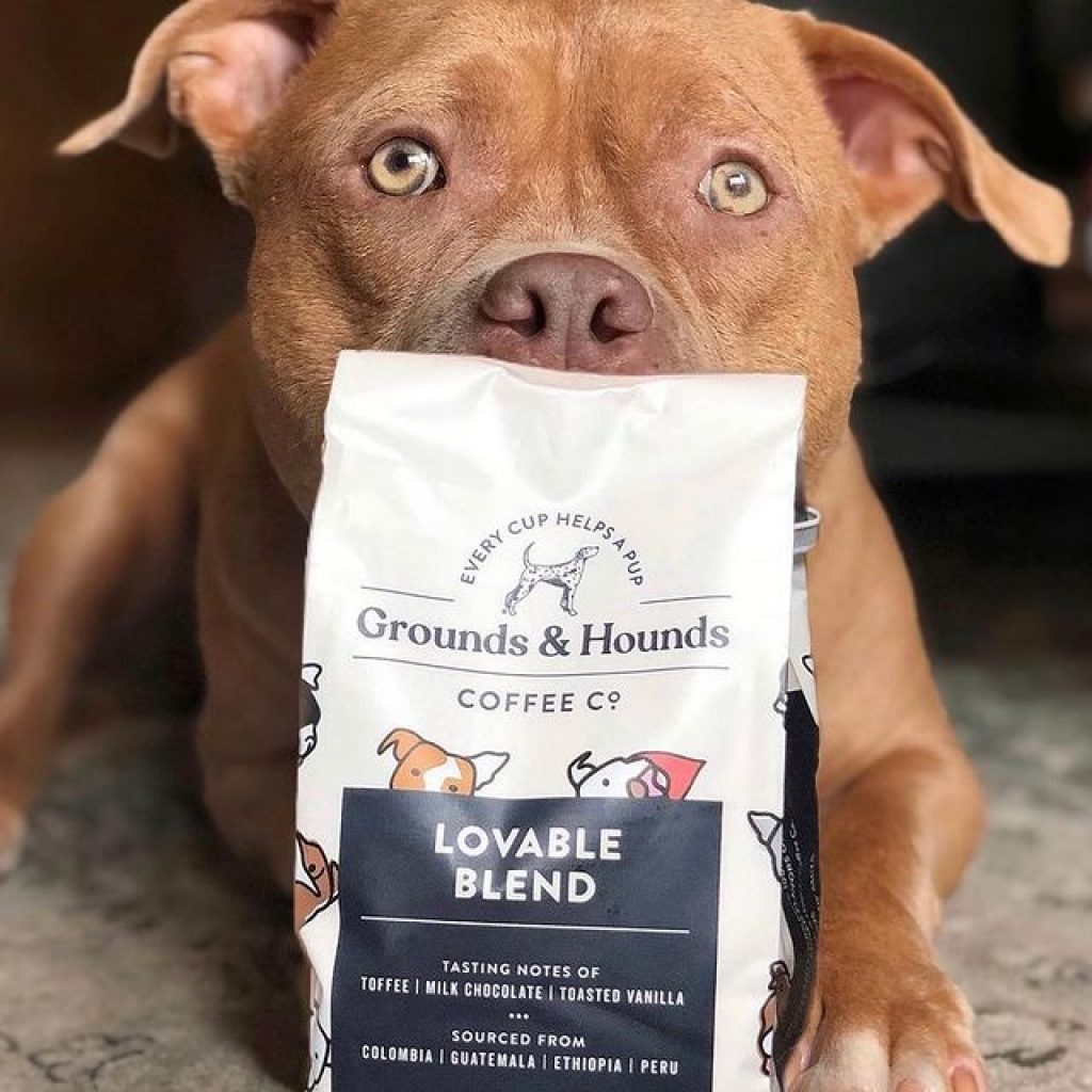 Best Coffee Subscription Boxes To Splurge On Or Gift - grounds and hounds