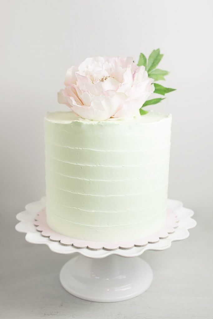 Oprah's Favorite Cakes - the cake bake shop - mint chocolate chip cake